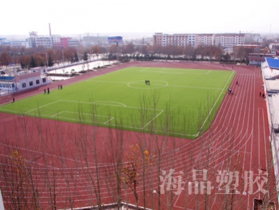 新泰市体育场塑胶跑道、人造草坪足球场、篮球场