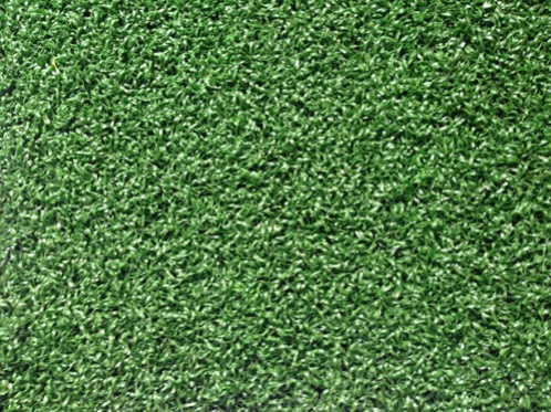 门球场专用卷曲草(不充砂) 　　门球场专用网丝草(充砂) 　　一、门球介绍 　　门球起源于法国，